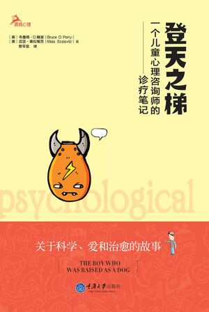 登天之梯：一个儿童心理咨询师的诊疗笔记（2015版）.jpg